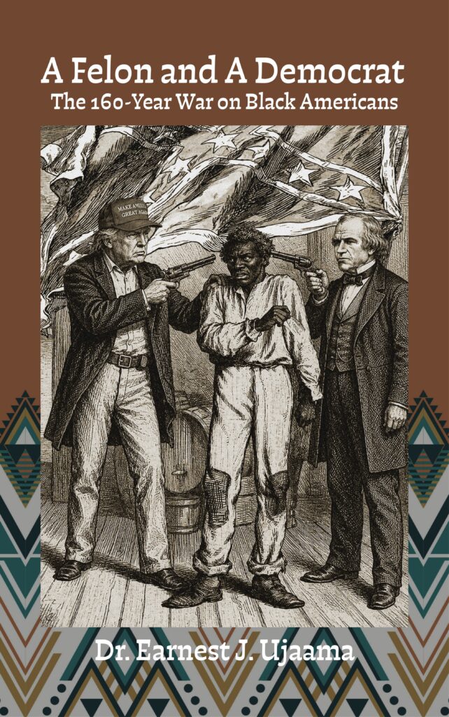 A Felon and A Democrat book cover